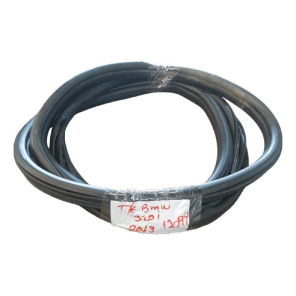 Borracha Porta Traseira Esquerda Bmw 320i 2.0 2013 A 2017