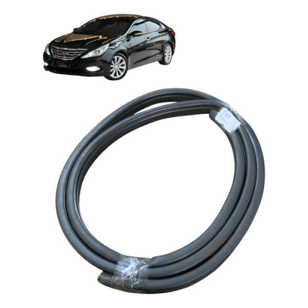 Borracha Porta Dianteira Direita Hyundai Sonata 2010 A 2014 