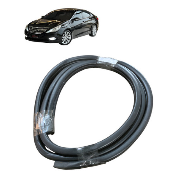Borracha Porta Traseira Direita Hyundai Sonata 2010 A 2014 
