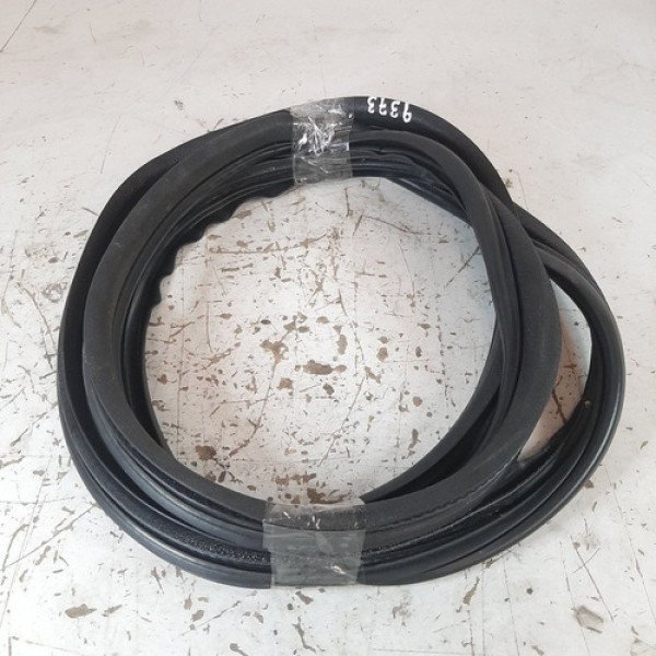 Borracha Porta Traseira Direita Megane 2.0 2007 A 2012 9373