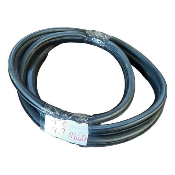 Borracha Porta Traseira Esquerda Peugeot 407 2.0 2006 A 2009