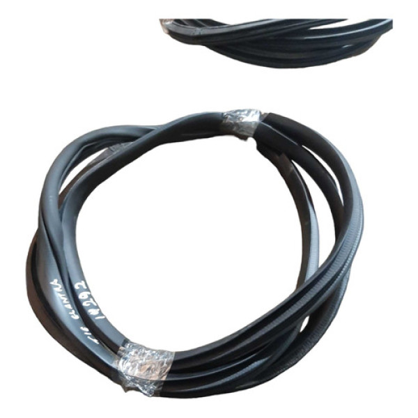 Borracha Porta Traseira Esquerda Hyundai Elantra 2012 A 2015