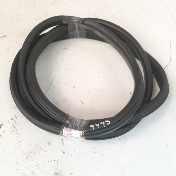 Borracha Porta Tras Esque Peugeot 308 1.6 2013 A 2018 9795