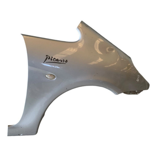 Paralama Direito Picaso 2003 A 2010