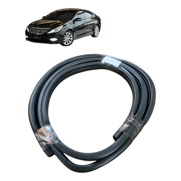 Borracha Porta Traseira Esquerda Hyundai Sonata 2010 A 2014 