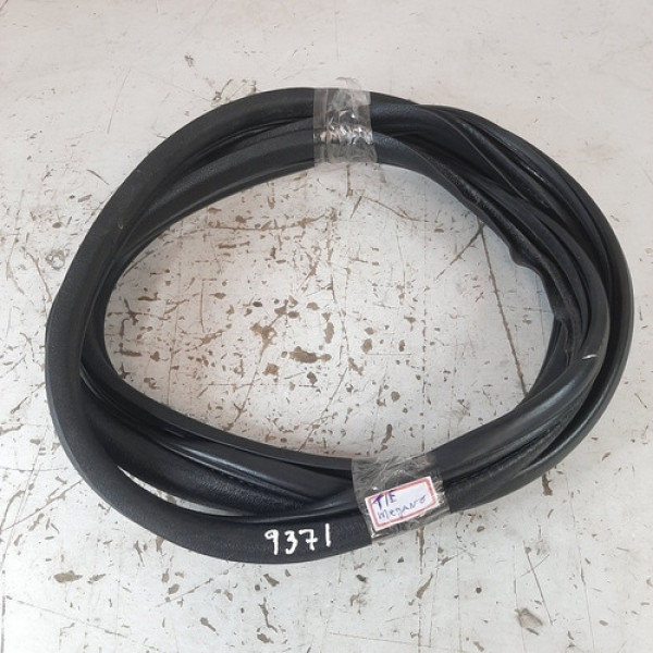 Borracha Porta Traseira Esquer Megane 2.0 2007 A 2012 9371