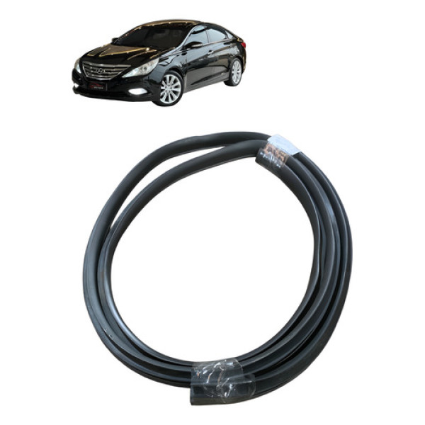 Borracha Porta Dianteira Esquerd Hyundai Sonata 2010 A 2014 