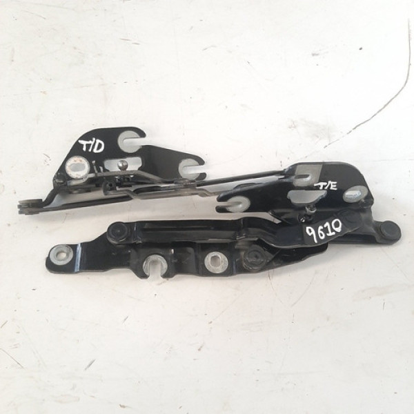 Par Dobradiça Tampa Traseira Audi A6 3.0 V6 2001/2007.  9610